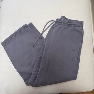Aritzia Sweatfleece Sweatpants